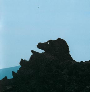 EL Corcel Negro Lanzarote