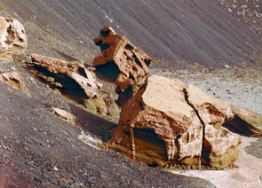 El Esqueleto del Leon Lanzarote