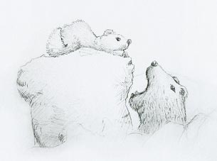 Dibujo El Oso y La Ardilla