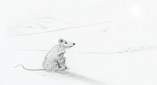 Dibujo El Ratoncito de campo que espera
