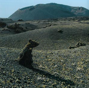 El Ratoncito de campo que espera Lanzarote