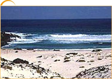 Playa del Reducto - Arrecife 